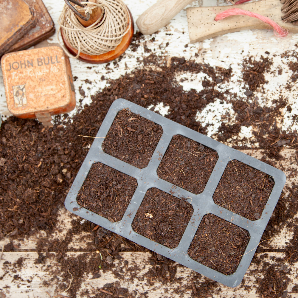 Wildlife World germination tray in natural rubber - 6 - Image 4