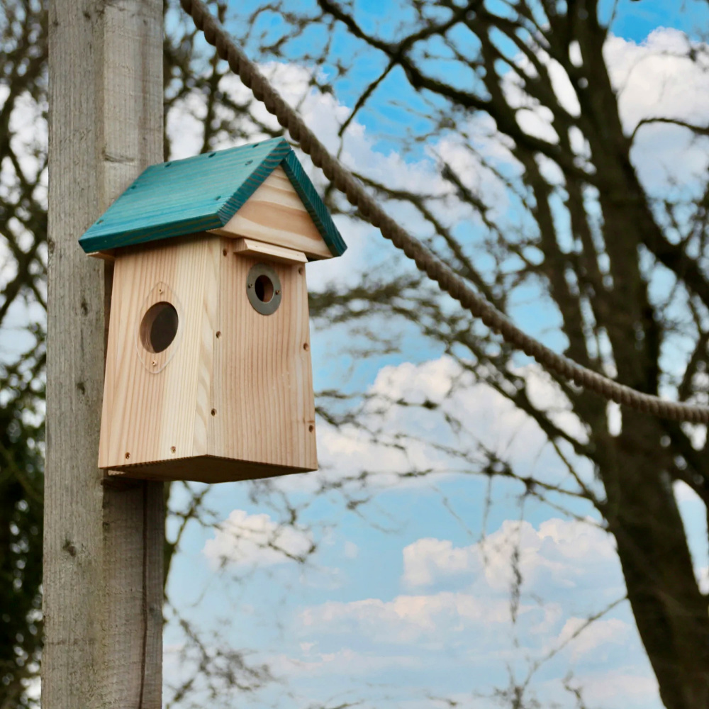 Wildlife World fuglehus til kamera - Billede 3