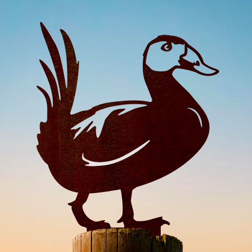 Metalbird fågel i cortenstål - vithövdad anka