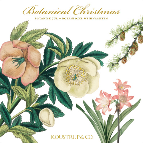 Koustrup & Co. pochette pour cartes - Noël botanique