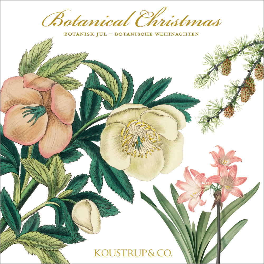 Pochette pour cartes Koustrup & Co. - Noël botanique