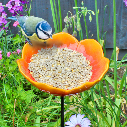 Wildlife World Futterbrett aus Keramik - Mohn