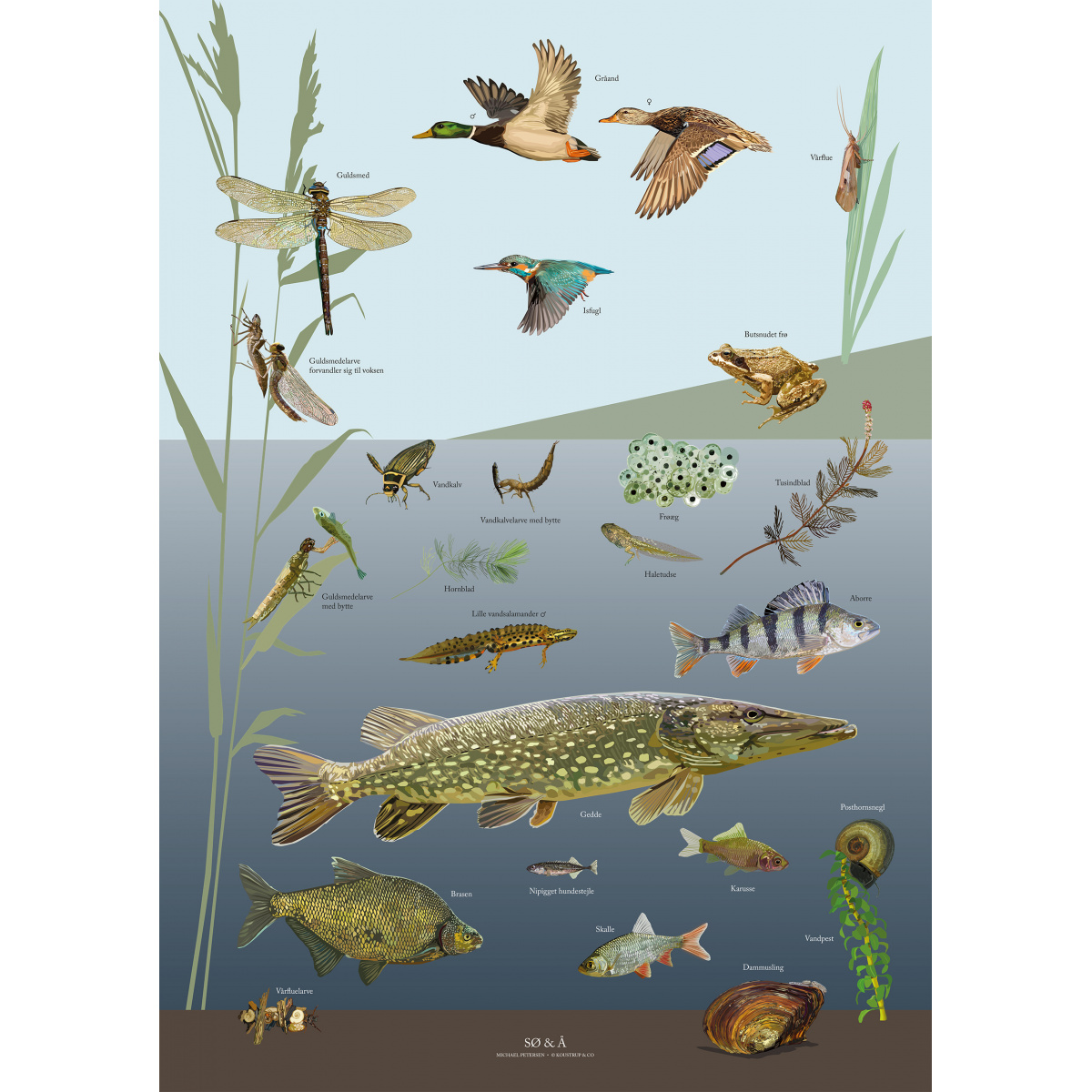 Koustrup Poster - See und Fluss, A4