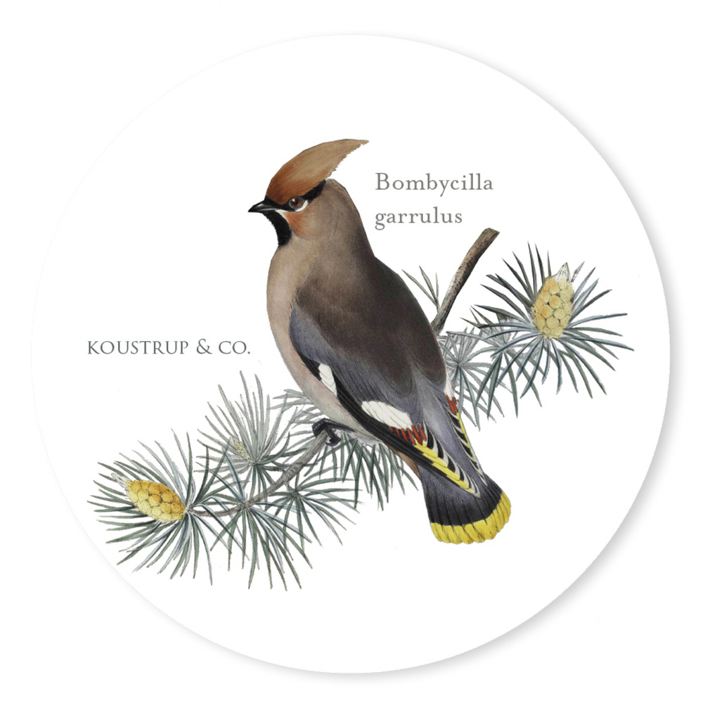 Dessous de verre Koustrup & Co. - oiseaux dans un conifère - Image 4