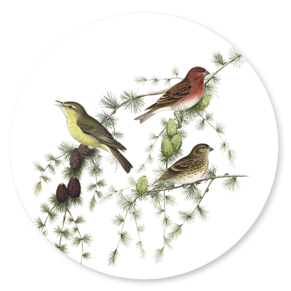 Koustrup & Co. glass coasters - birds in pine tree - Image 3