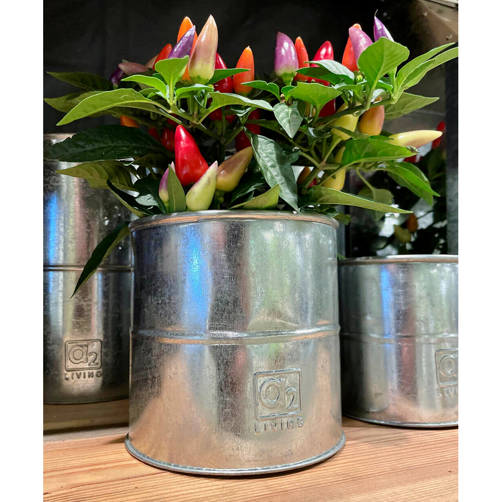 A2 Living Flower Pots, 3 pcs. - Galvanised - Image 4