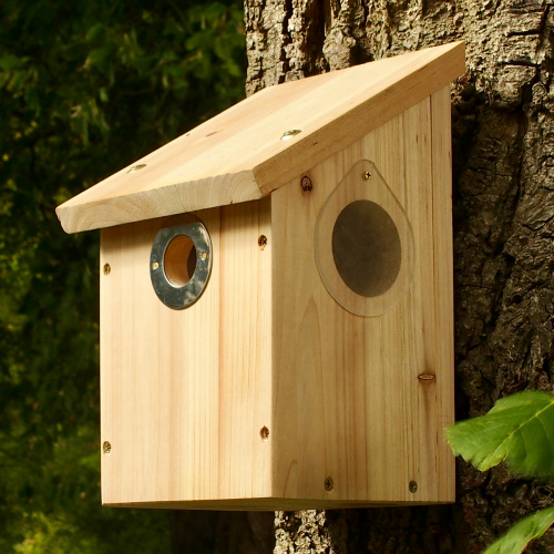 Wildlife World vogelhuis voor camera