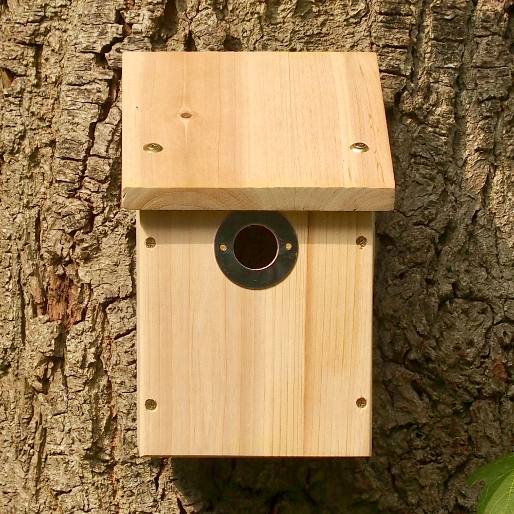 Wildlife World vogelhuis voor camera - Afbeelding 2