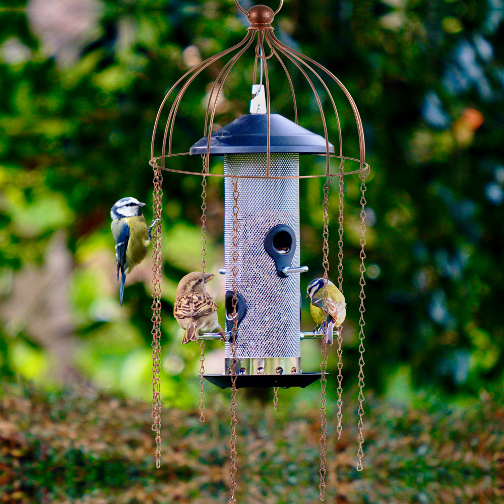 Wildlife World beschermer voor voederautomaat - Afbeelding 3
