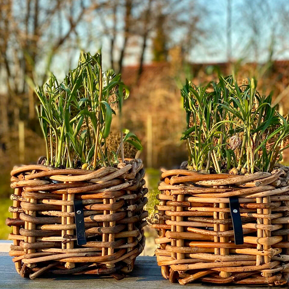 A2 Living rattan basket, square - 27 x 27 x 24 - Image 4