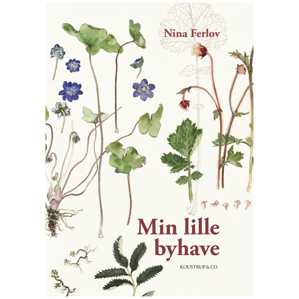 Min lille byhave - fra Koustrup & Co. - Billede 2