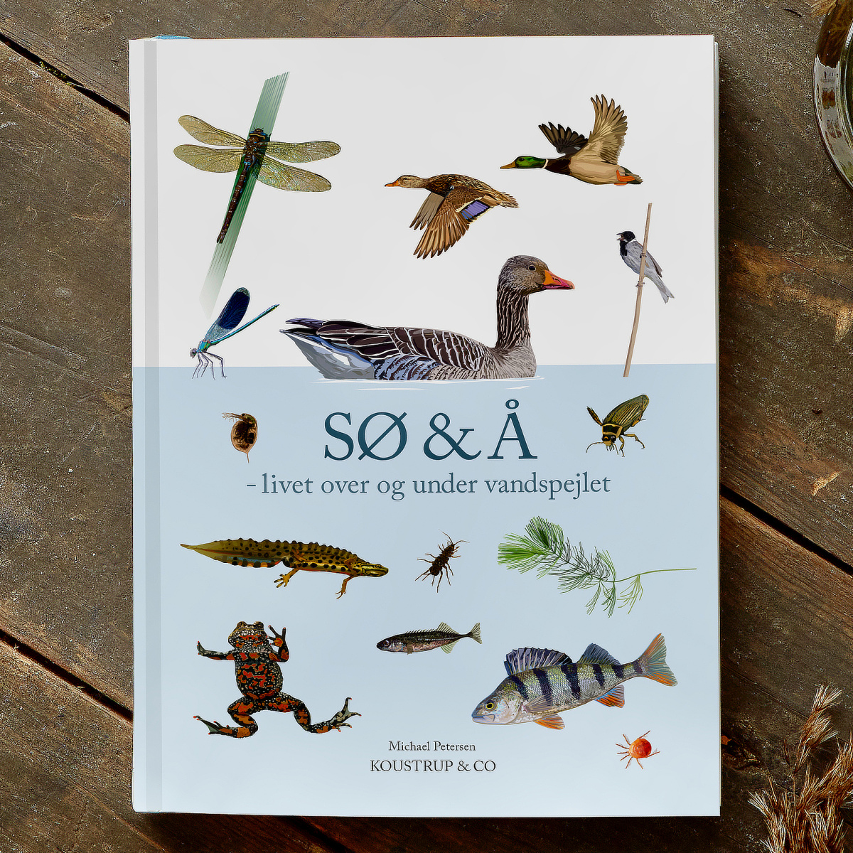 Sjö & Å – från Koustrup & Co.