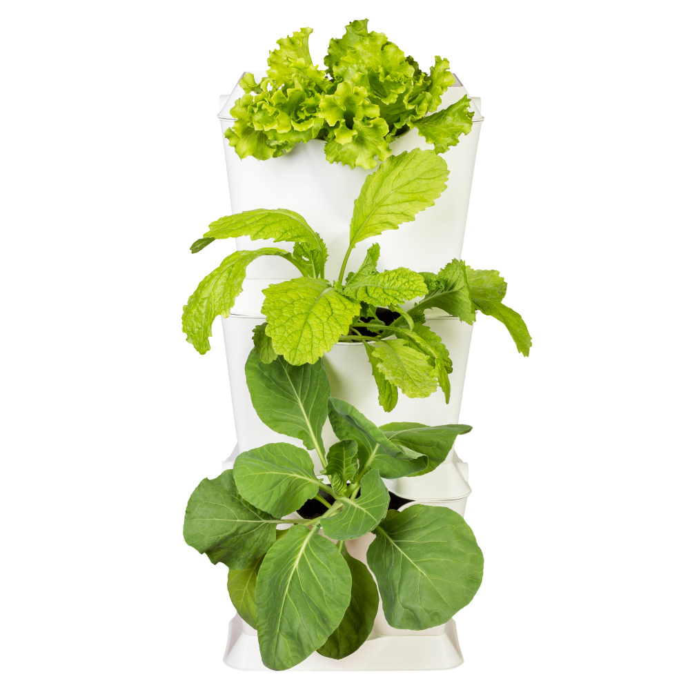Minigarden One plantenwand - Wit - Afbeelding 4