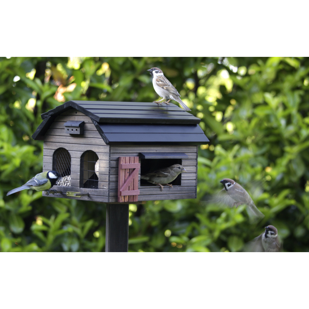 Wildlife Garden mangeoire - marron - Image 2