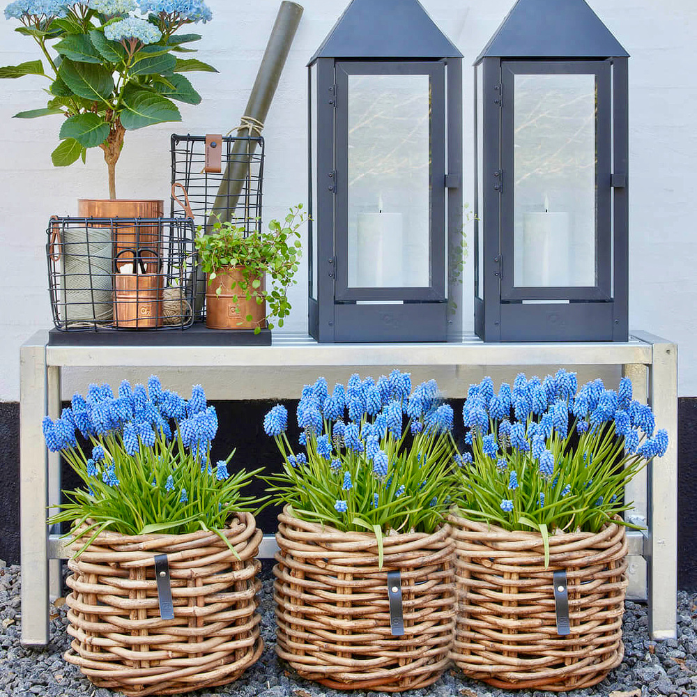 A2 Living Gartenbank, 35x123 – verzinkt - Bild 2