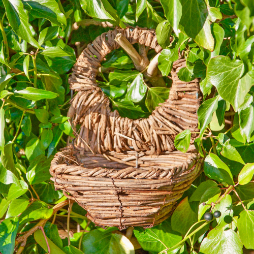 Wildlife World Amsel Vogelnest