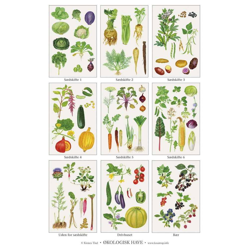 Koustrup poster - biologische tuin, A2