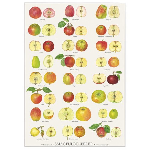 Affiche Koustrup - Pommes savoureuses, A2