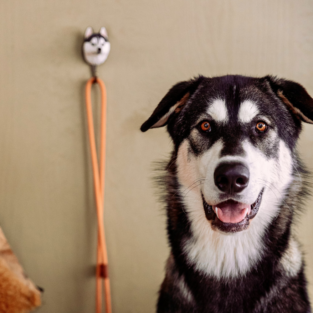 Wildlife Garden knage - siberian husky - Billede 6