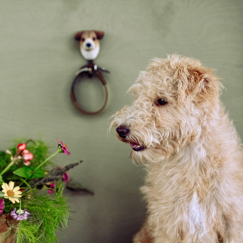 Wildlife Garden peg - jack russell terrier - Image 6