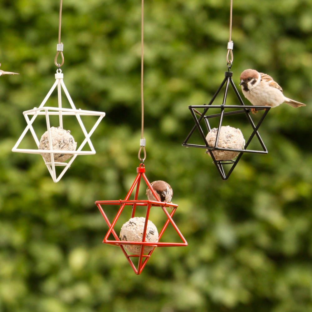 Wildlife Garden étoile pour boule de graisse - blanche - Image 2