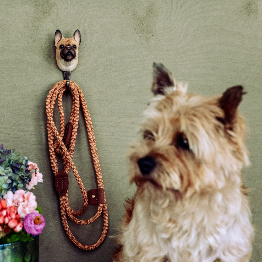 Wildlife Garden peg - French bulldog - Image 5