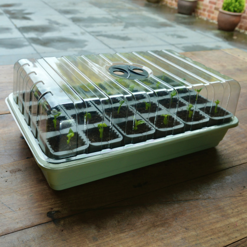 Garland miniväxthus med delade celler