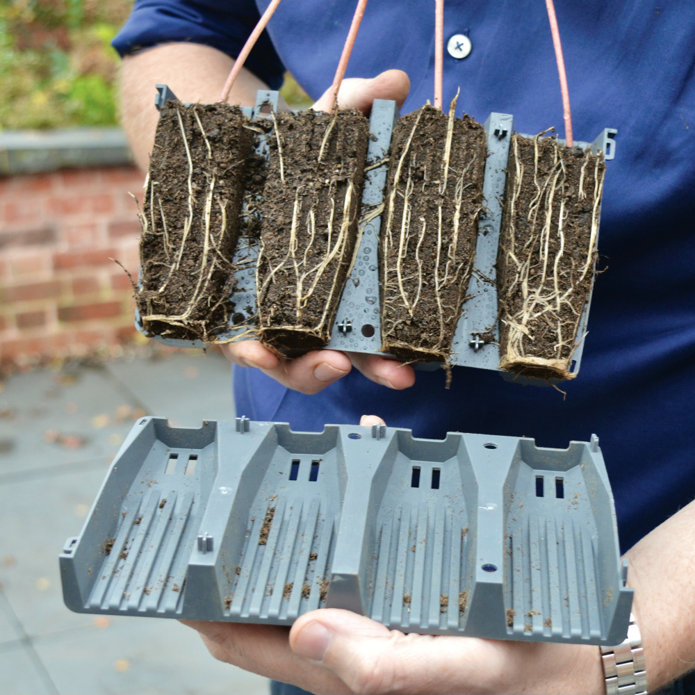 Garland mini greenhouse for deep roots - Image 4