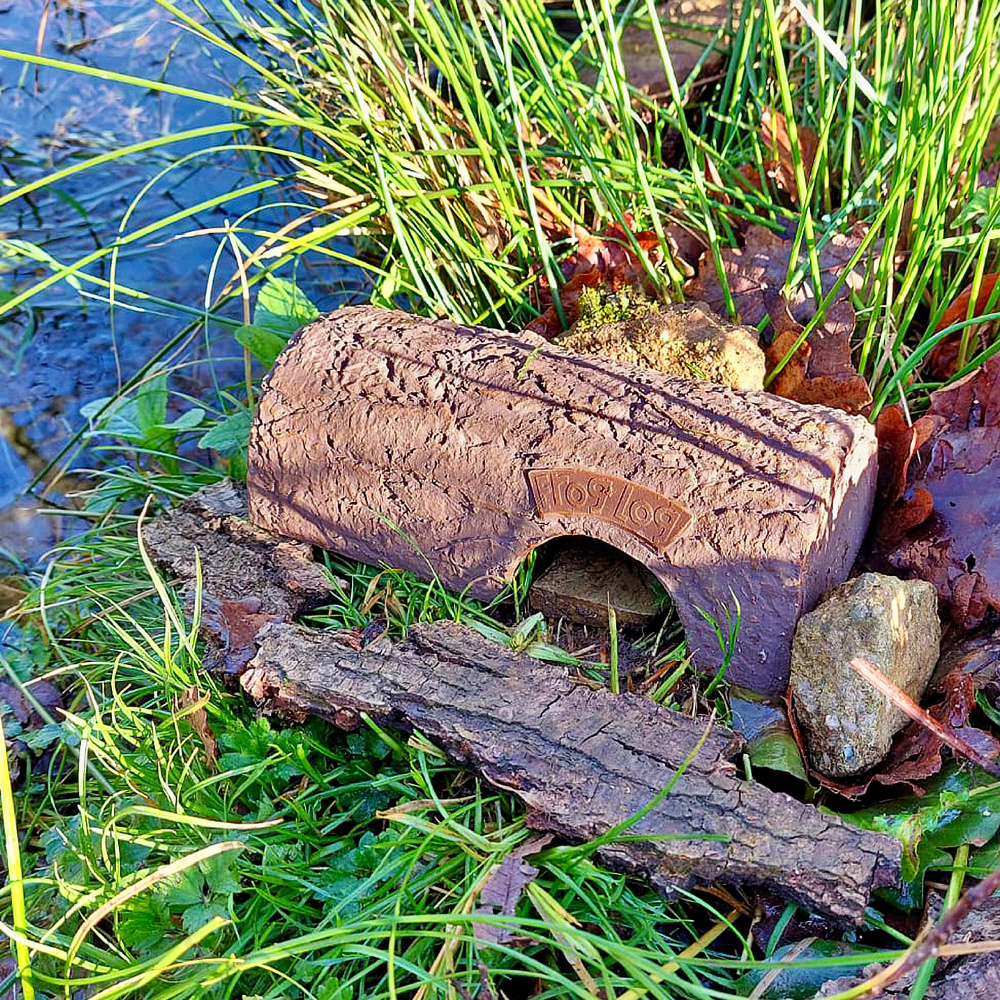 Wildlife World stam till grodor - Bild 2