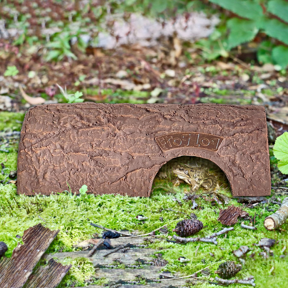 Wildlife World stam till grodor