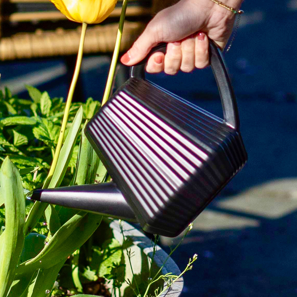 Xala Doppio gieter, 2 L - zwart - Afbeelding 4