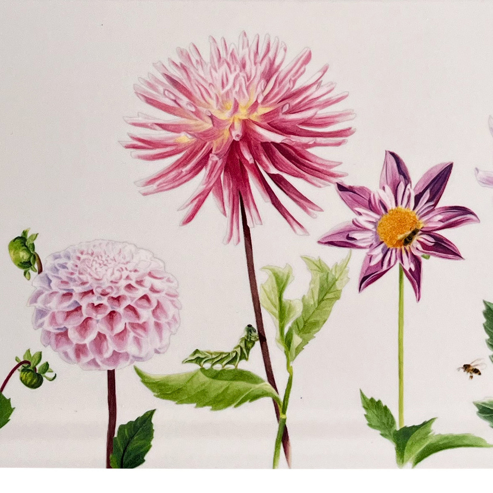 Koustrup & Co. bakke, 32x15 - dahlia - Billede 3