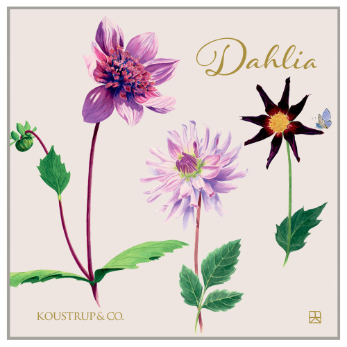 Koustrup & Co. Kartenmappe - Dahlia