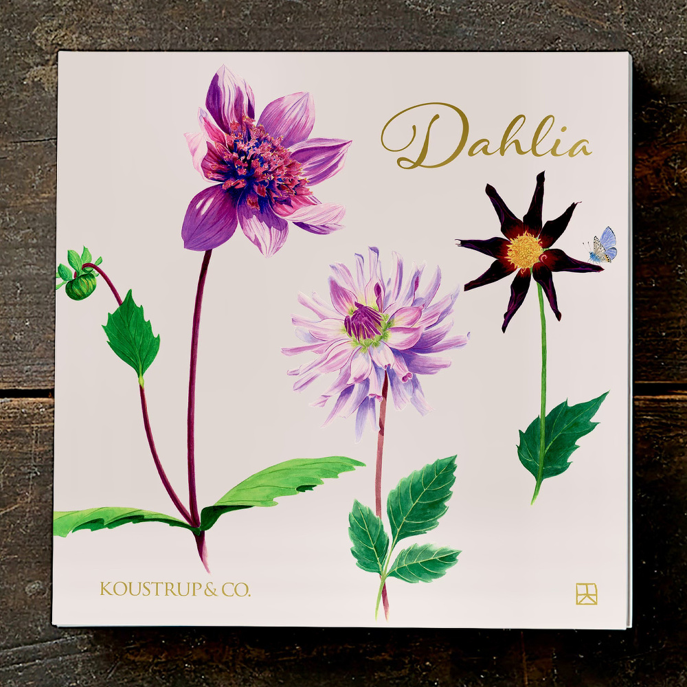 Koustrup & Co. kaartenmap - Dahlia - Afbeelding 2