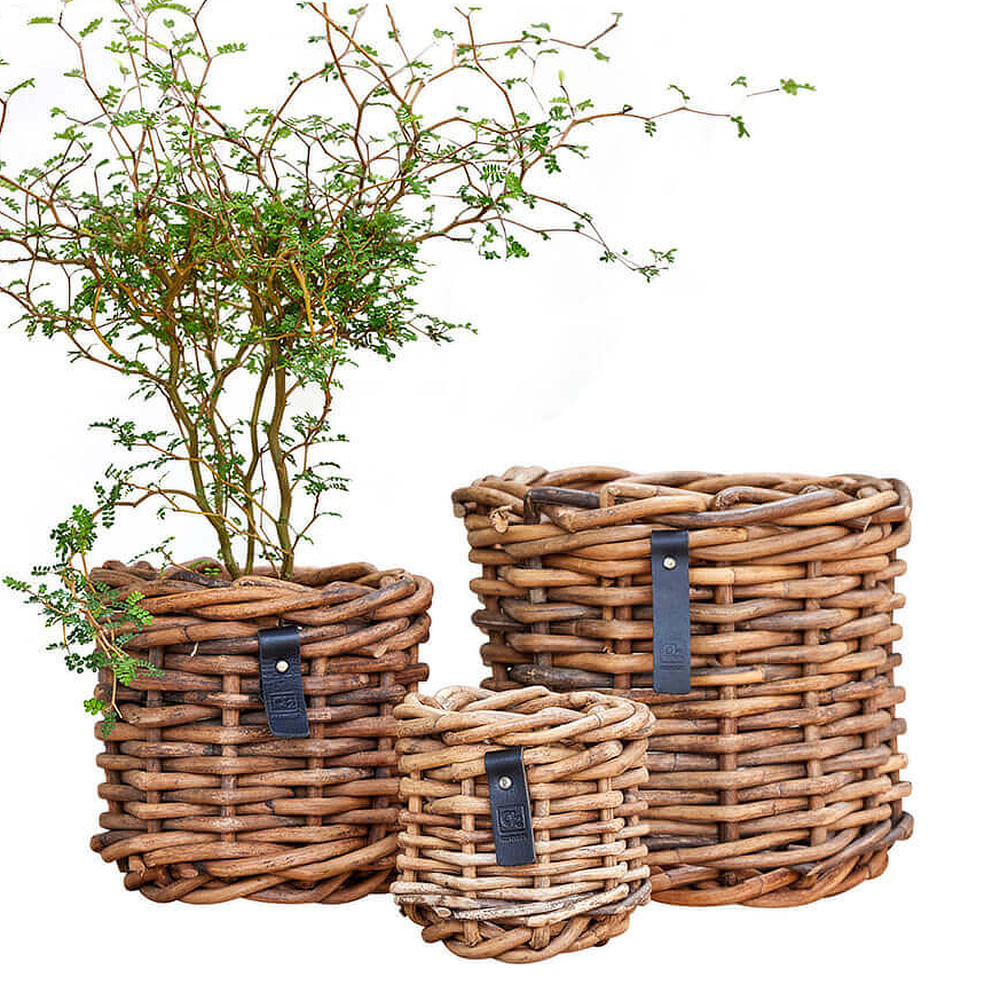 A2 Living rattan krukor, 3 st. - Bild 5