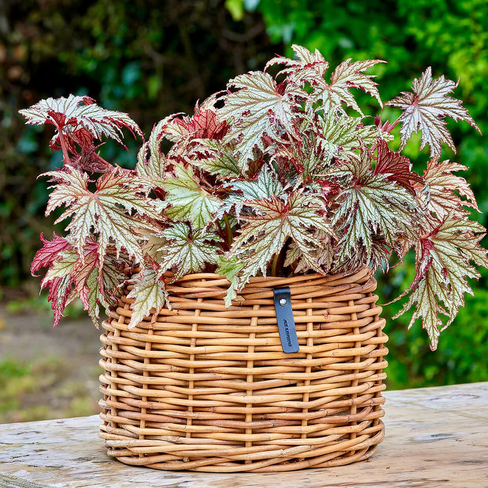 A2 Living rattan urtepotter, 3 stk. - koniske - Billede 6