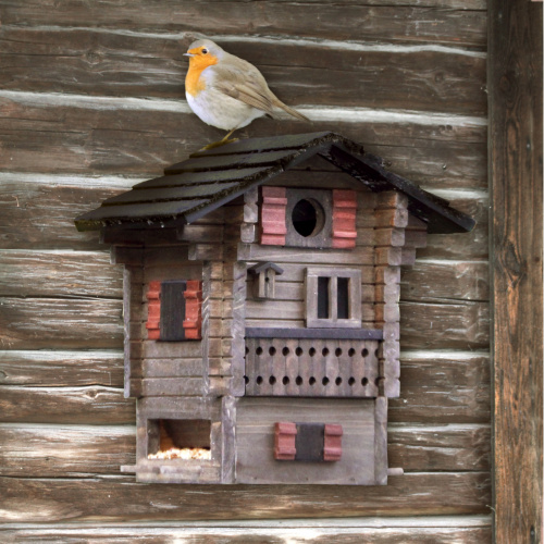 Wildlife Garden birdhouse/feeder - cabin