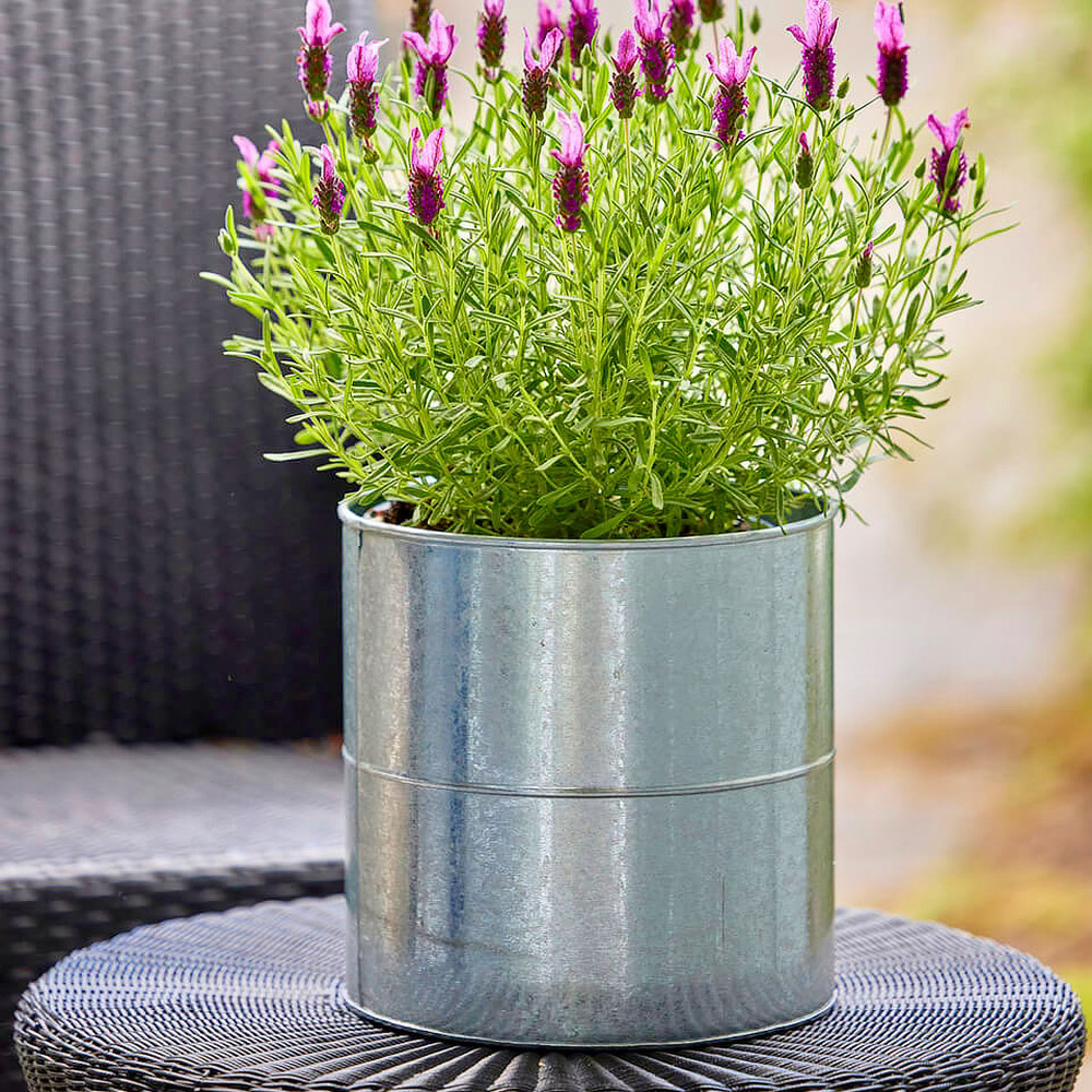 A2 Living flower buckets, 3 pcs. - galvanized - Image 5