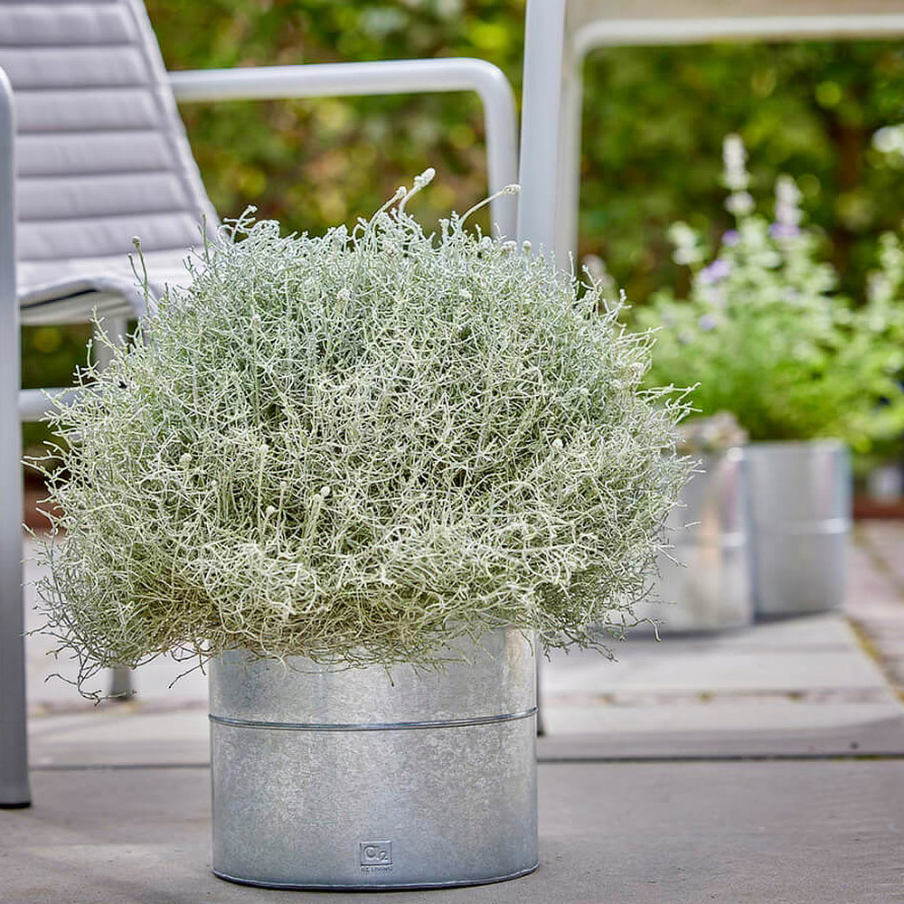 A2 Living Blumeneimer, 3 Stk. - verzinkt - Bild 6