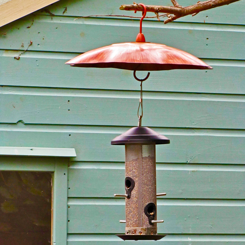 Wildlife World ekorrskydd - Bild 2