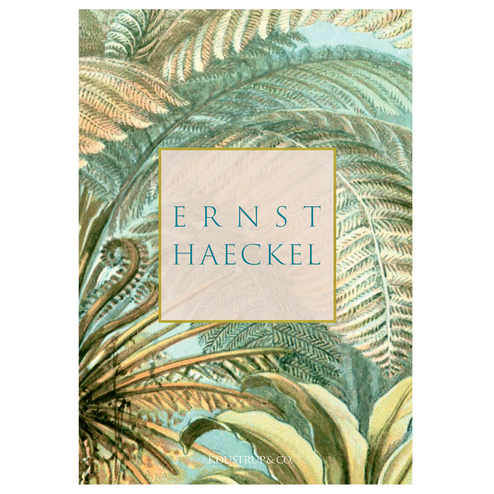 Pochette à cartes Koustrup & Co. - Ernst Haeckel - Image 2
