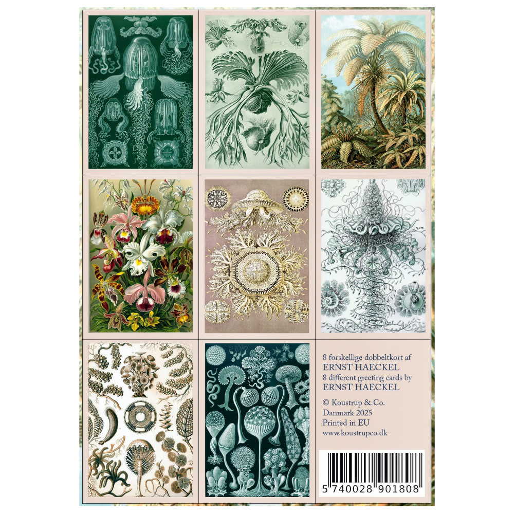 Koustrup & Co. kortmappe - Ernst Haeckel - Billede 3