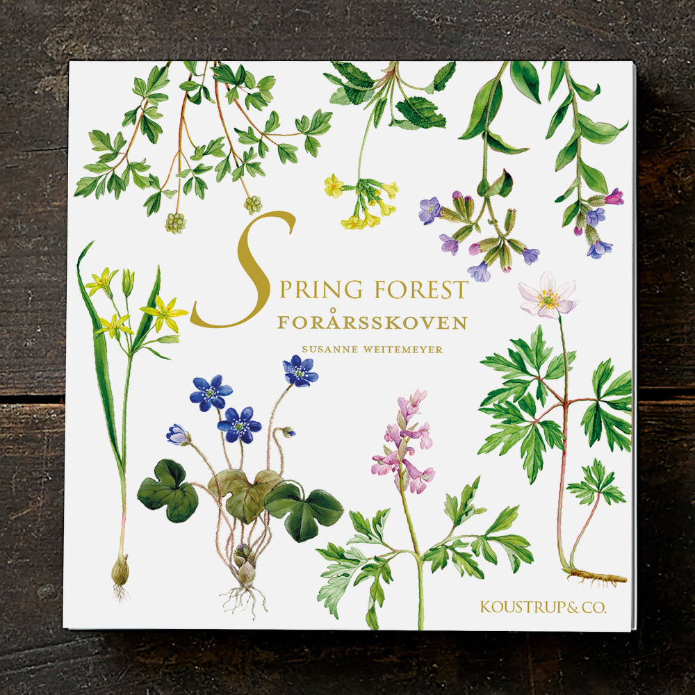 Pochette de cartes Koustrup & Co. - Spring Forest