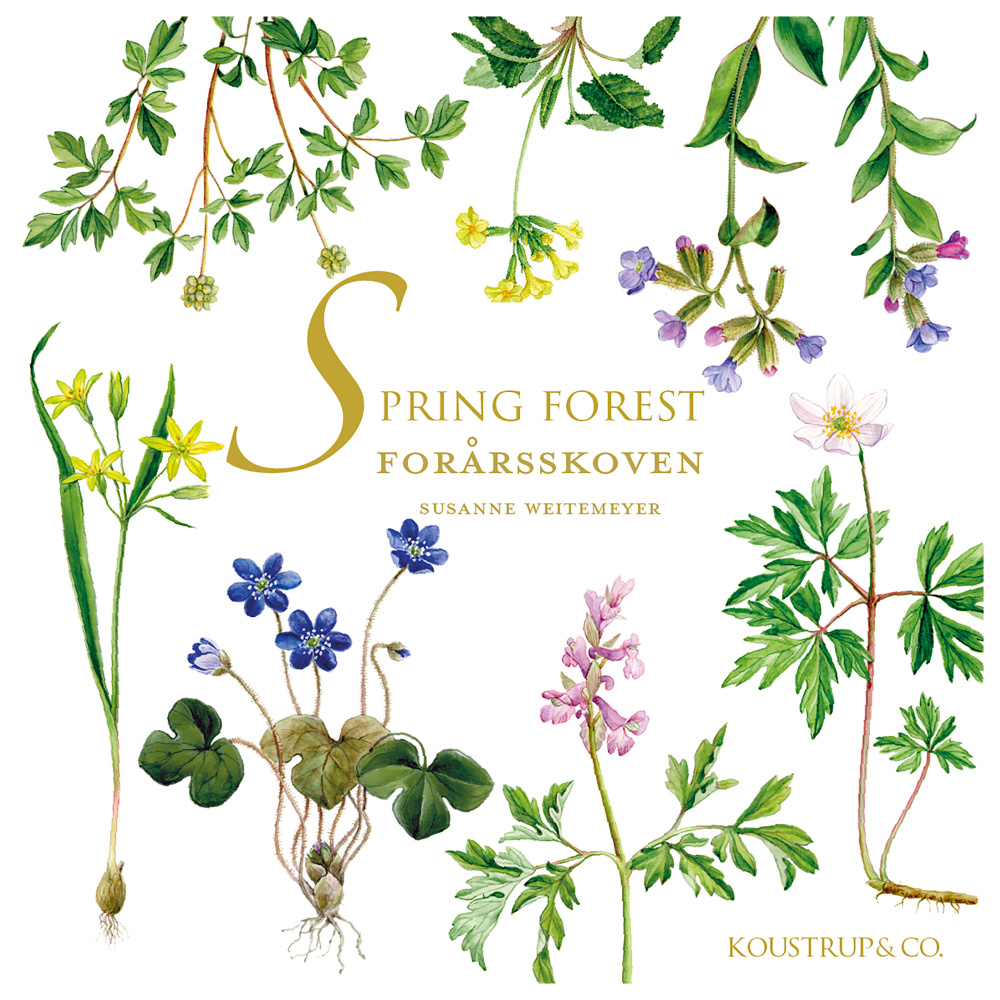 Pochette de cartes Koustrup & Co. - Spring Forest - Image 2