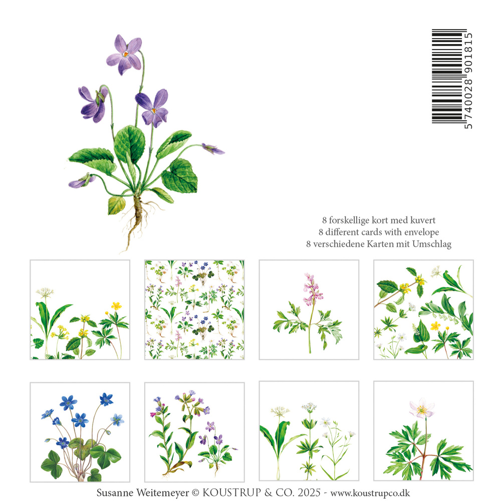 Koustrup & Co. kaartenmap - Spring Forest - Afbeelding 3