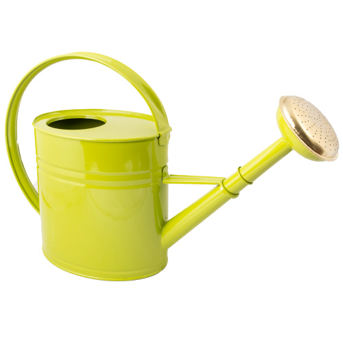 Guillouard 4 L vattenkanna - Olivgrön