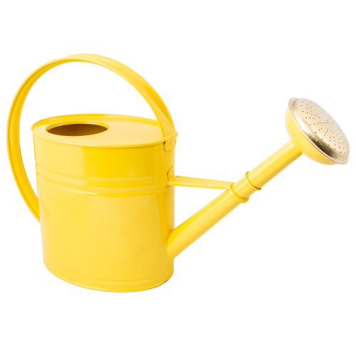 Guillouard 4 L vattenkanna - Citrongul