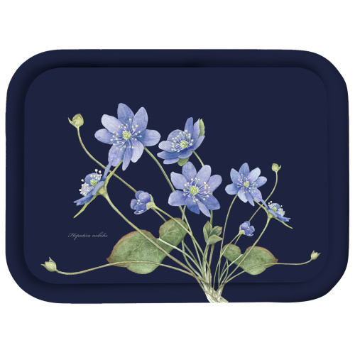 Koustrup & Co. Hügel, 20x27 - Blaue Anemone