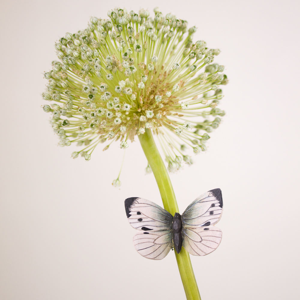 Wildlife Garden magneet - Koolwitje - Afbeelding 4