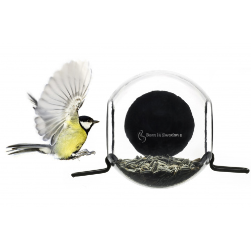 Born in Sweden window bird feeder